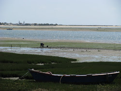 Parque Natural da Ria Formosa