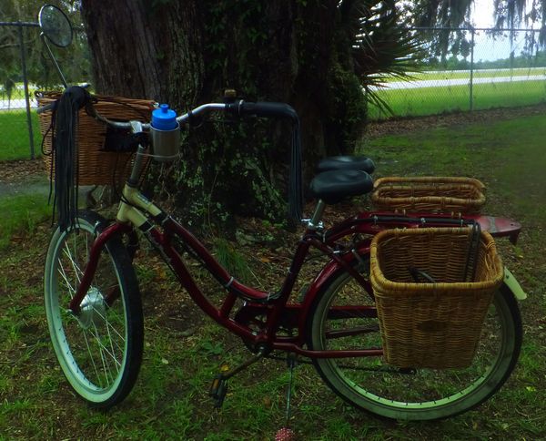 schwinn bicycle converted to electric assist, basket painers, leather motorcycle grips