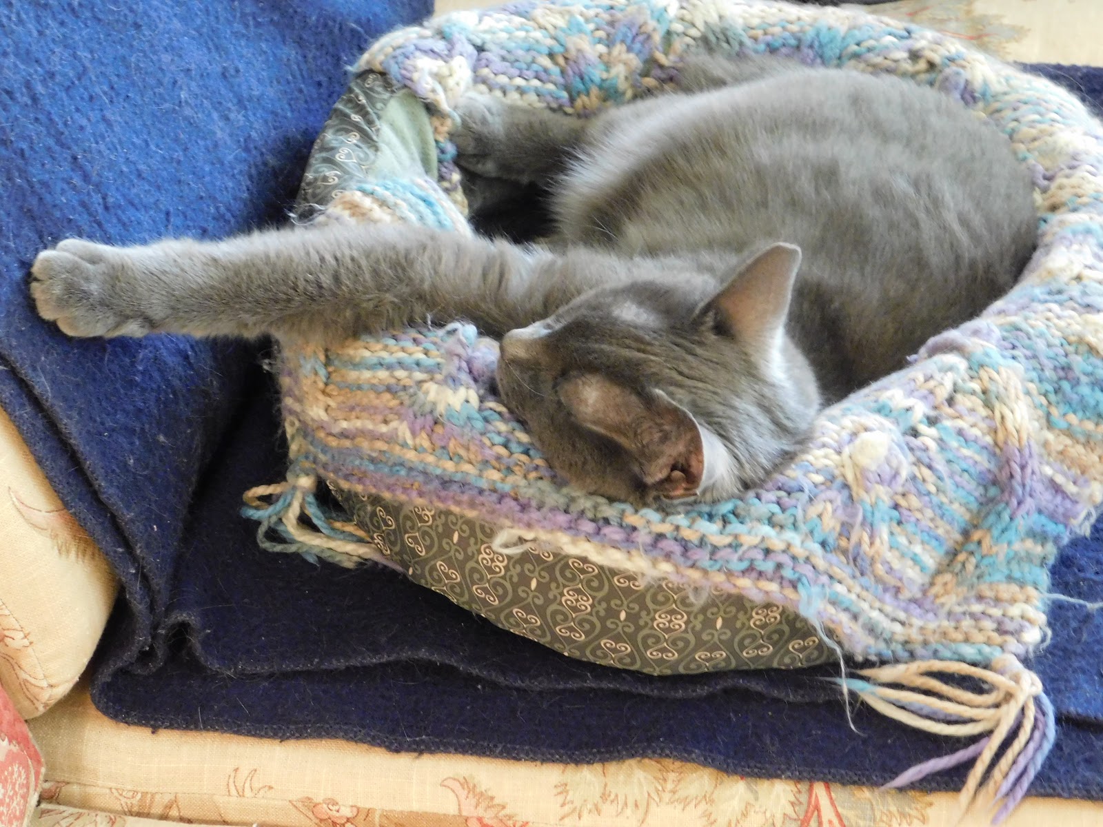 It S A Snap April 2018