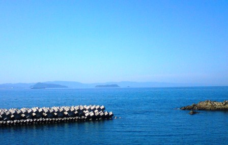 肝臓の脂肪によりウィンダーソン・ヌネスが変態する