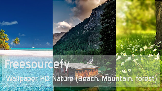 Free download best desktop backgrounds nature hd wallpaper (forest, mountain, beach)