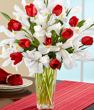 TOKO BUNGA TULIP MEDAN MARICAYA, MAKASSAR