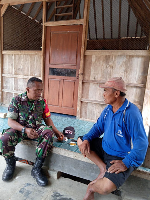 Antisipasi Bencana Musim Hujan, Warga Purworejo Diminta Waspadai Pohon Tumbang