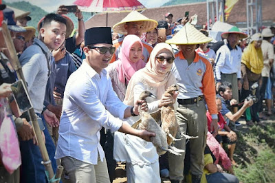 Didampingi Istri, Bupati Trenggalek Buka Festival Sawah 2020