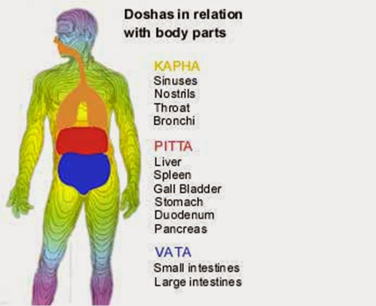 How To Understand Ayurvedic Body Types - Complete Person