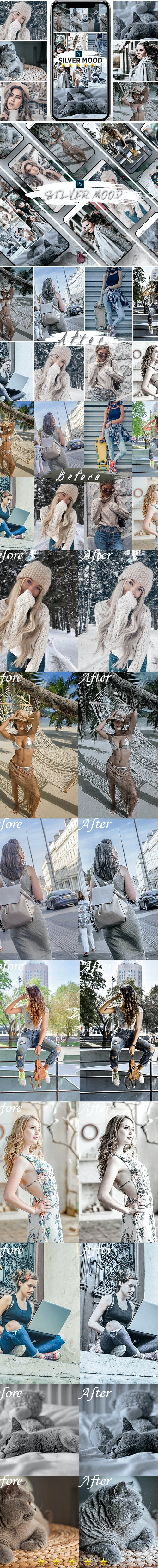 GraphicRiver - Silver Mood Lightroom Presets 25048351 2 selver