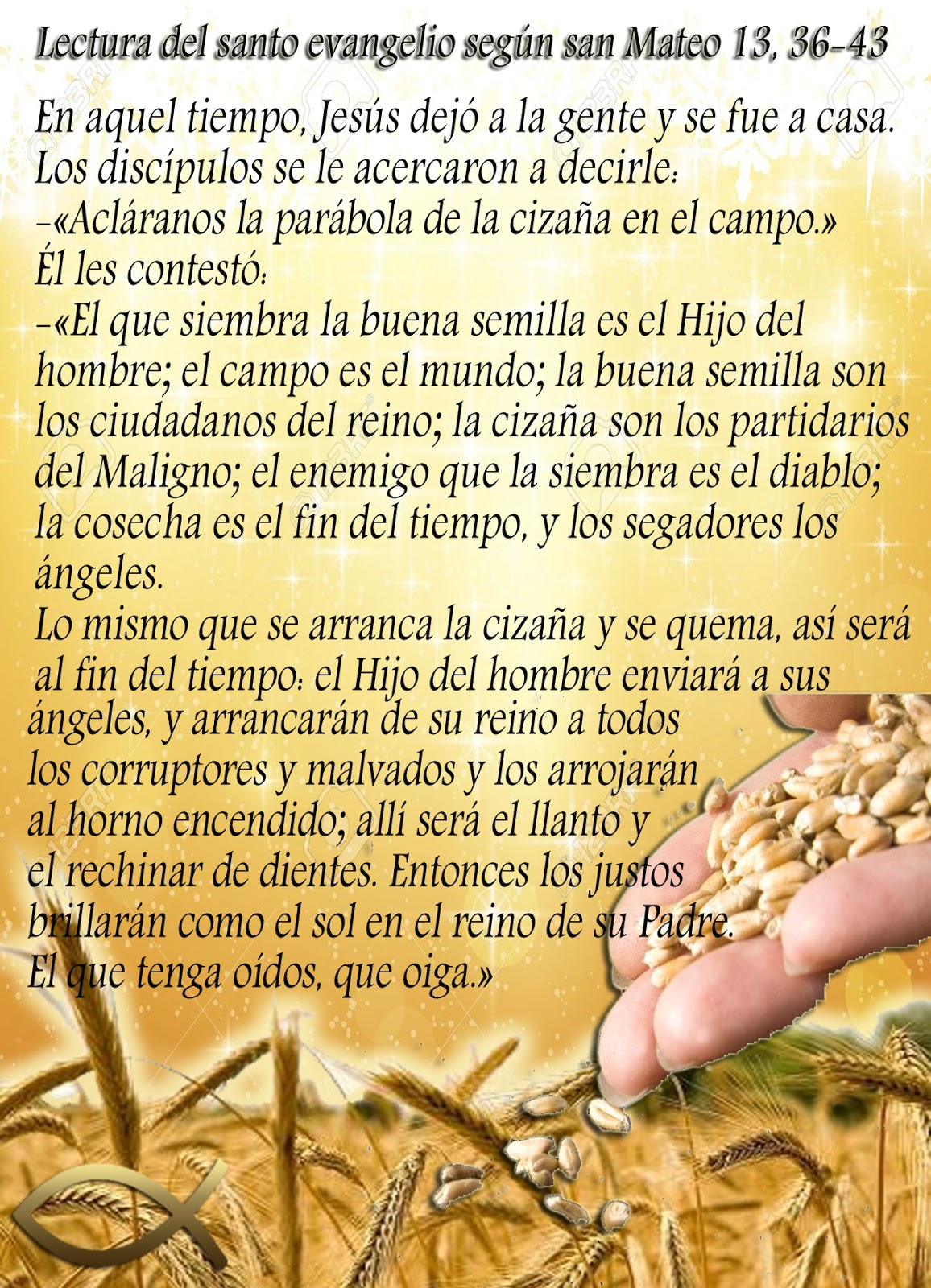 El Evangelio en una Imagen: Explicación de la Parábola del Trigo y la