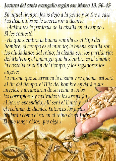 El Evangelio en una Imagen: Explicación de la Parábola del Trigo y la