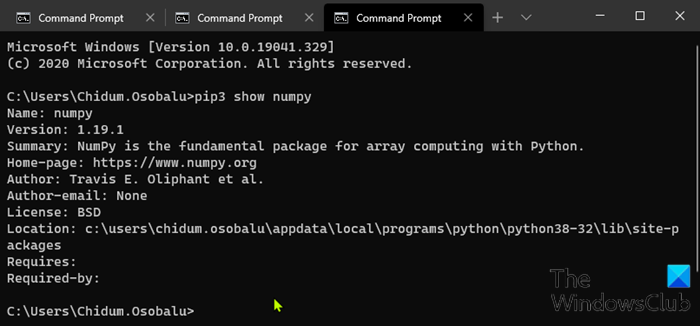 Installa NumPy usando Pip su Windows 10-2