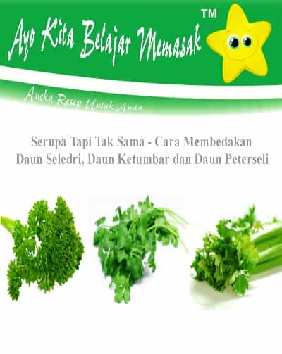 Bedanya Apa Antara Daun Seledri, Daun Ketumbar dan Daun Peterseli Cara Membedakan Daun Seledri, Daun Ketumbar dan Daun Peterseli