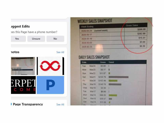 Perpetual Income 365 Reviews Does It Work Peeneto