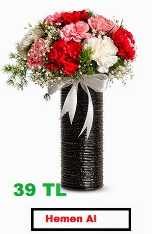  yozgat karanfili-çiçek 39a
