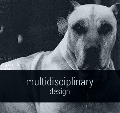 Somerset_Harris_Multidisciplinary_Design