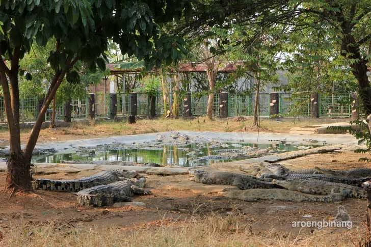 taman buaya tanjung pasir tangerang