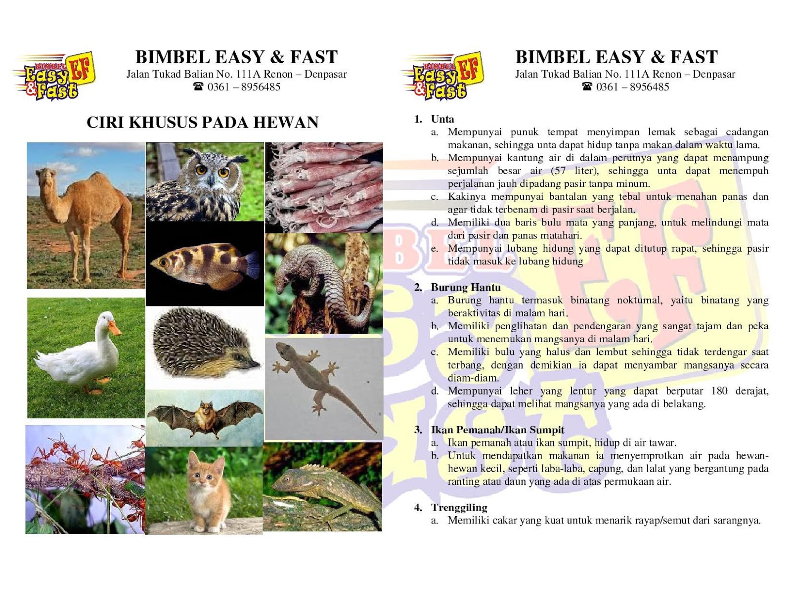 DENPASAR MENGAJAR CIRI KHUSUS PADA HEWAN