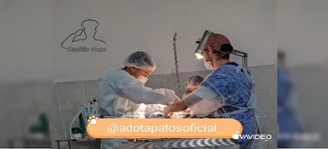 Projeto Finalizado: SALA DE CASTRAÇÃO recebe atestado regular do CRMV - PB para realizações das castrações