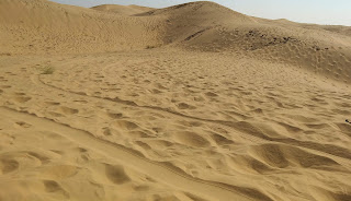 Thar-desert-jesalmer