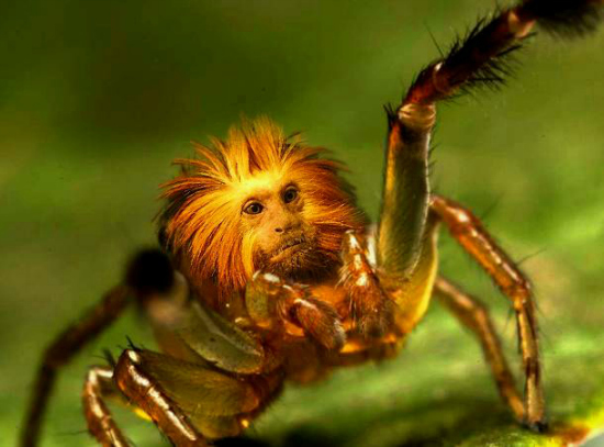 Phantoms And Monsters Real Cryptid Encounter Reports Fortean Researcher Lon Strickler