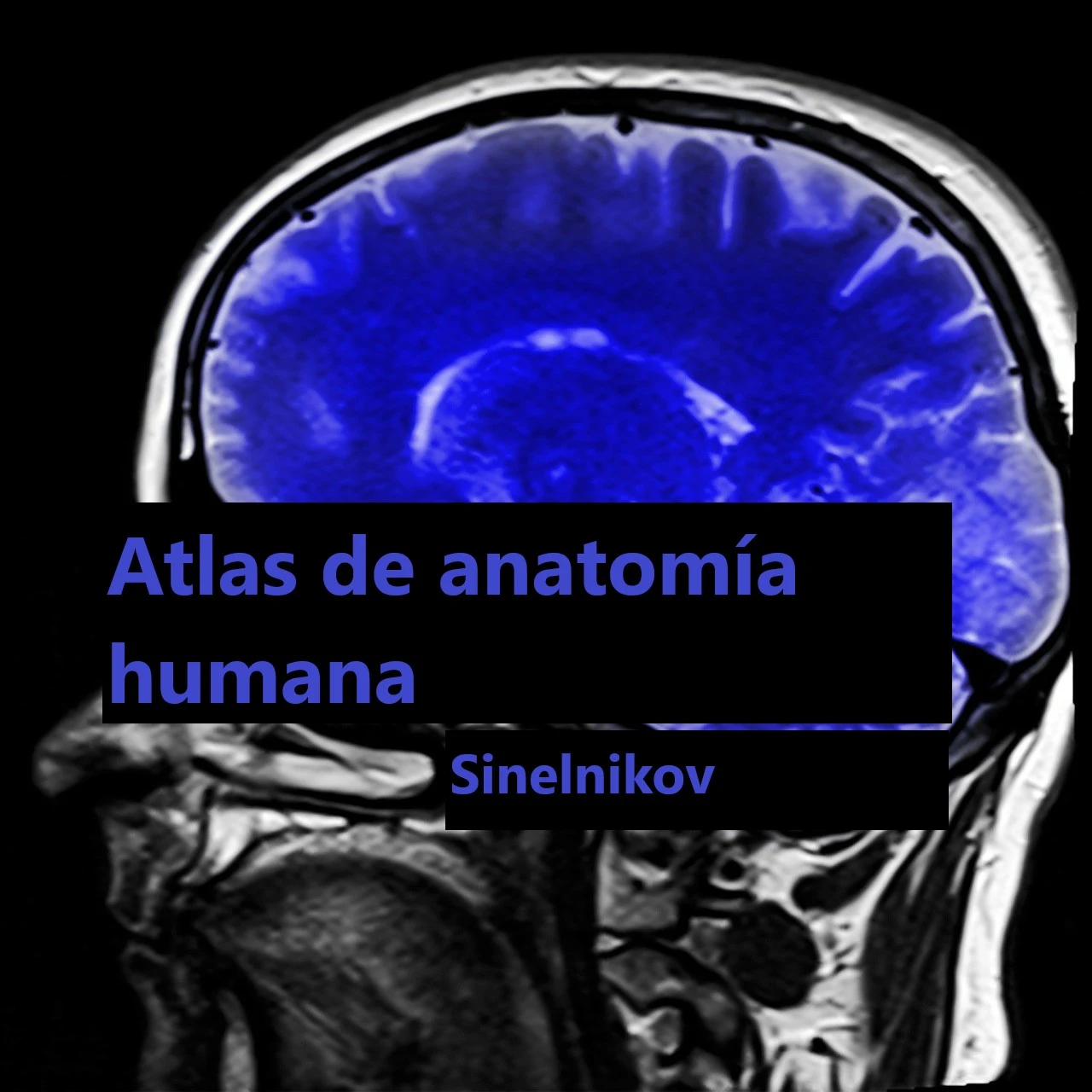Descargar el libro Atlas of Human Anatomy de Sinelnikov, tomo III