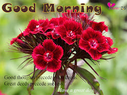 morning flowers quotes wishes thoughts flower precede deeds better than success yesterday