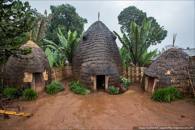 Традиционные дома эфиопского племени дорзе