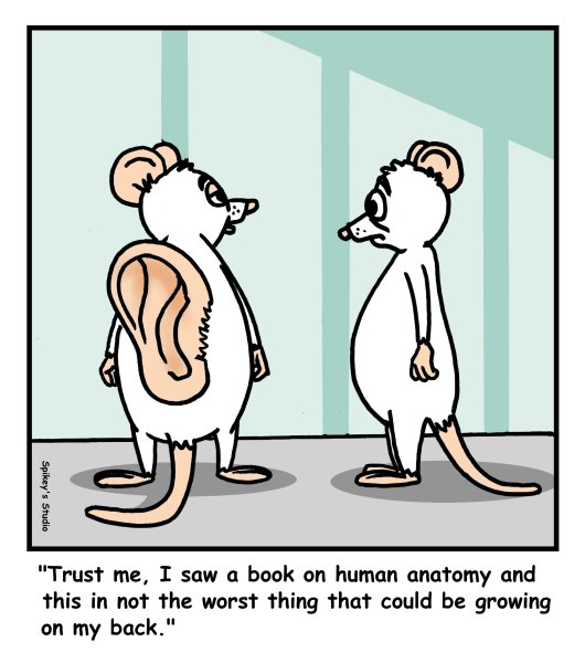Twisted Cartoons: Lab mice...