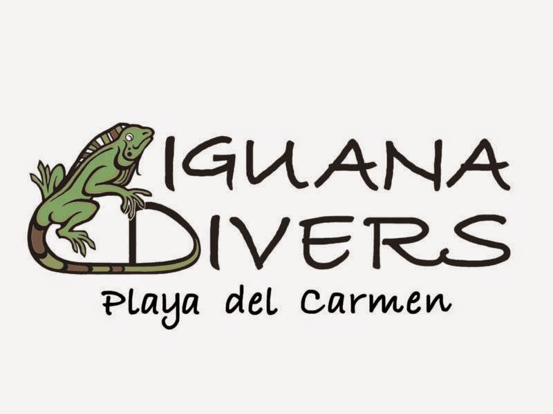 Iguana Divers