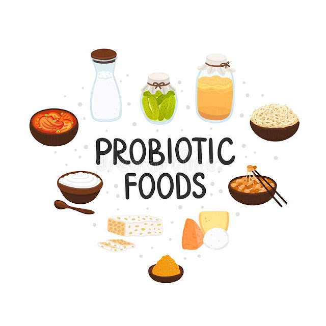 Sources of beneficial probiotics for the body
