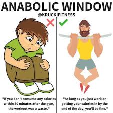 What is anabolic window mean? ماذا تعني النافذة البنائية او الشباك البنائي ؟