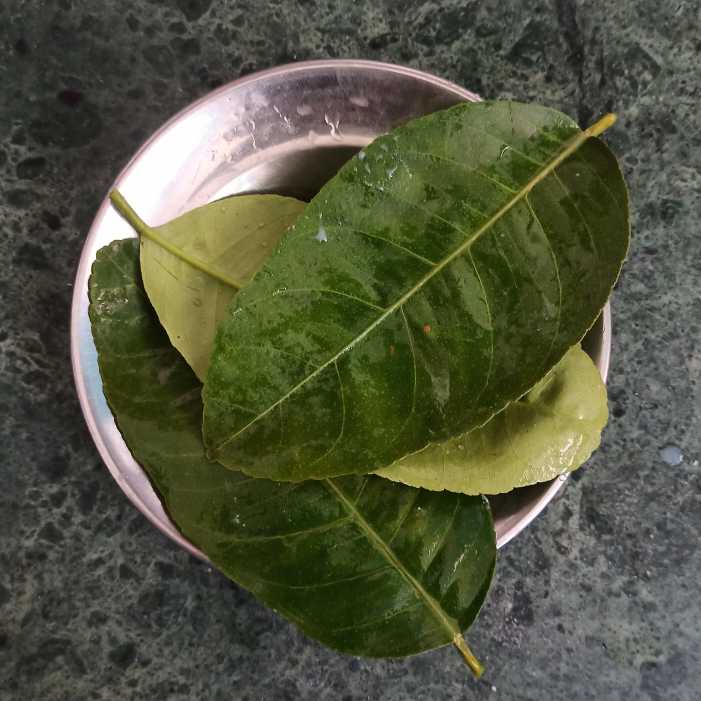 घर पर ही आसानी से देसी घी रेसिपी बनाने की विधि Malai se Desi Ghee