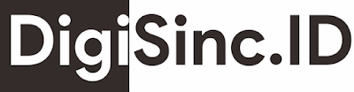 DigiSinc Logo