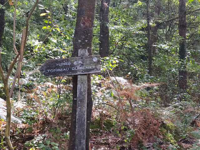 [CR] Un tour de la forêt de Brocéliande, le jeudi 16 septembre 2021. IMG_20210916_123137