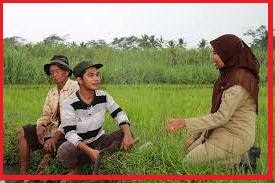 Latihan Soal Tes Pppk P3k Tenaga Penyuluh Pertanian Blog Paperplane