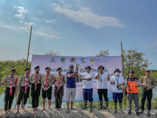 Peduli Lingkungan di Hari Menanam Pohon PT.PLN Nusantara Power Tanam 1500 Mangrove