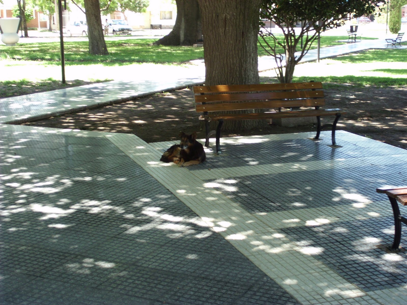 Tiempos de Viajes Recreo, Santa Fe