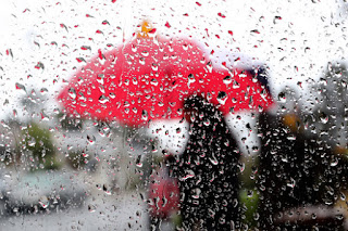 SJM L RAIN 1122 23