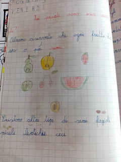 La Maestra Maria Ti Saluta Quaderno Di Scienze Classe Prima