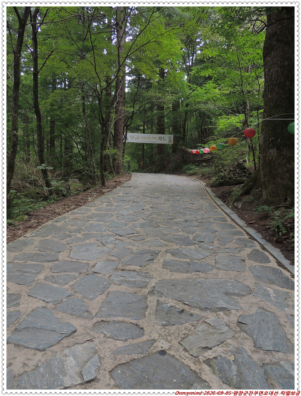 오대산 적멸보궁 오대산 적멸보궁