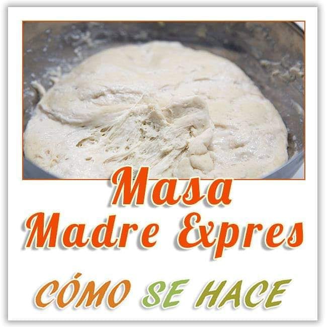 MASA MADRE EXPRÉS EN TAN SOLO 12 HORAS