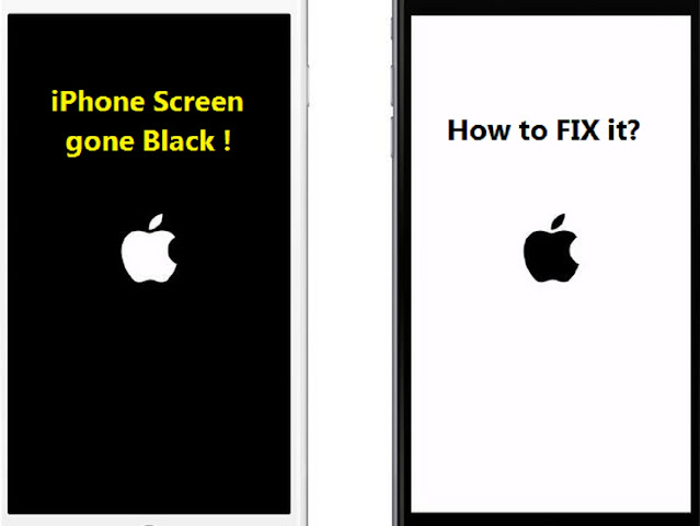My iPhone Screen Went Black but Still Works
