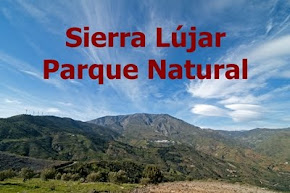 Sierra Lújar Parque Natural