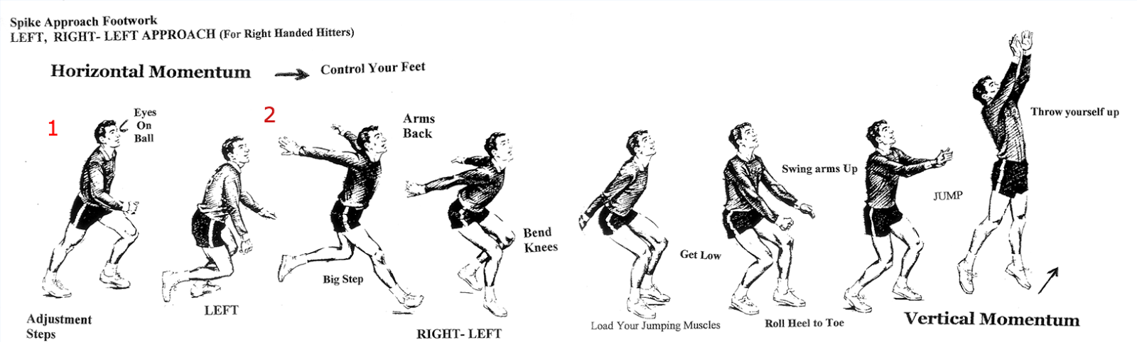 biomechanics badminton smash analysis essay biomechanics badminton smash analysis essay