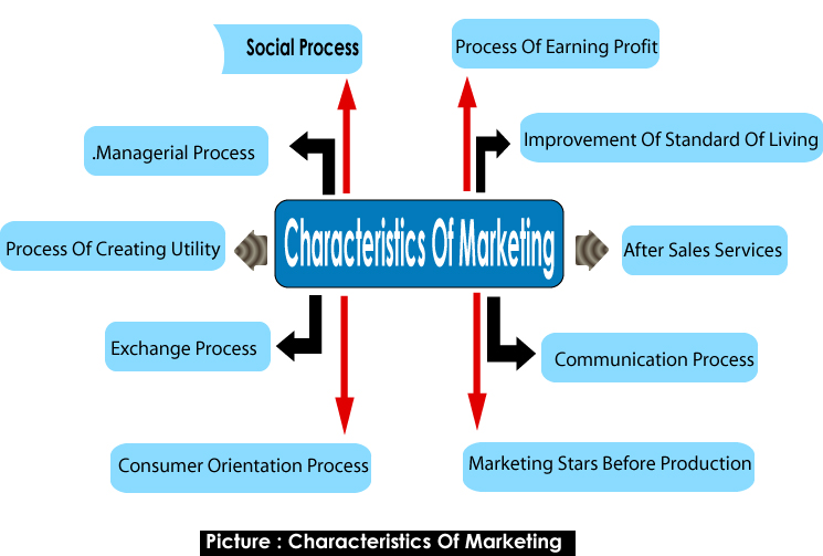 Marketing Guide Line