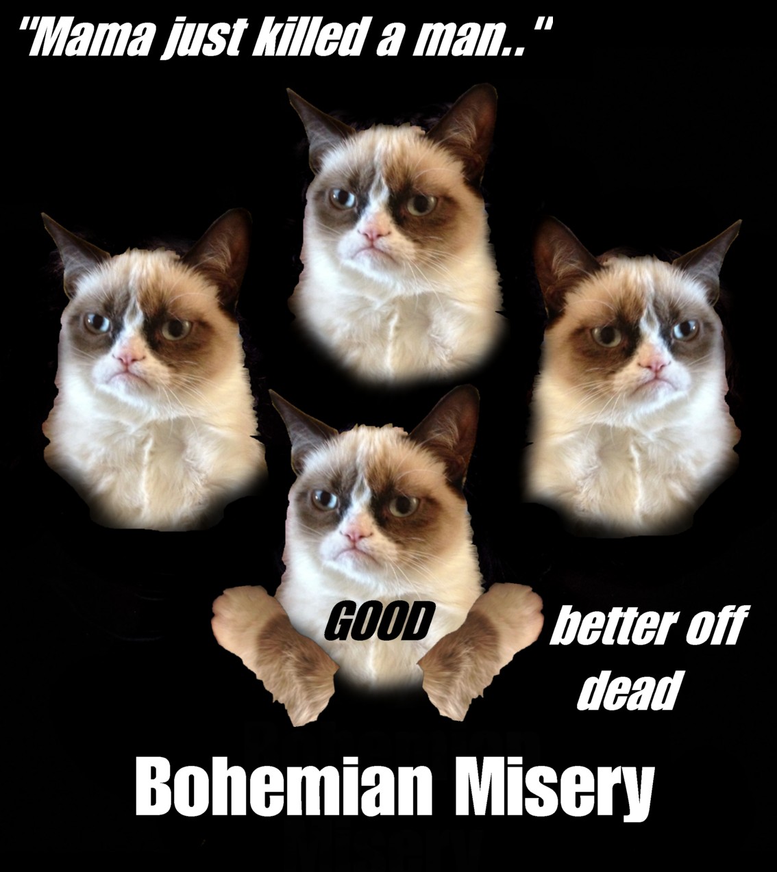 Grumpy Cat - The Rock'n'Roll years: Grumpy Cat meets Queen