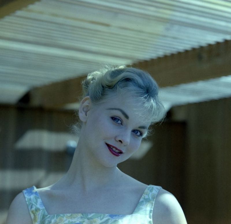 30 Glamorous Color Photos of Diane McBain in the 1960s Vintage Everyday