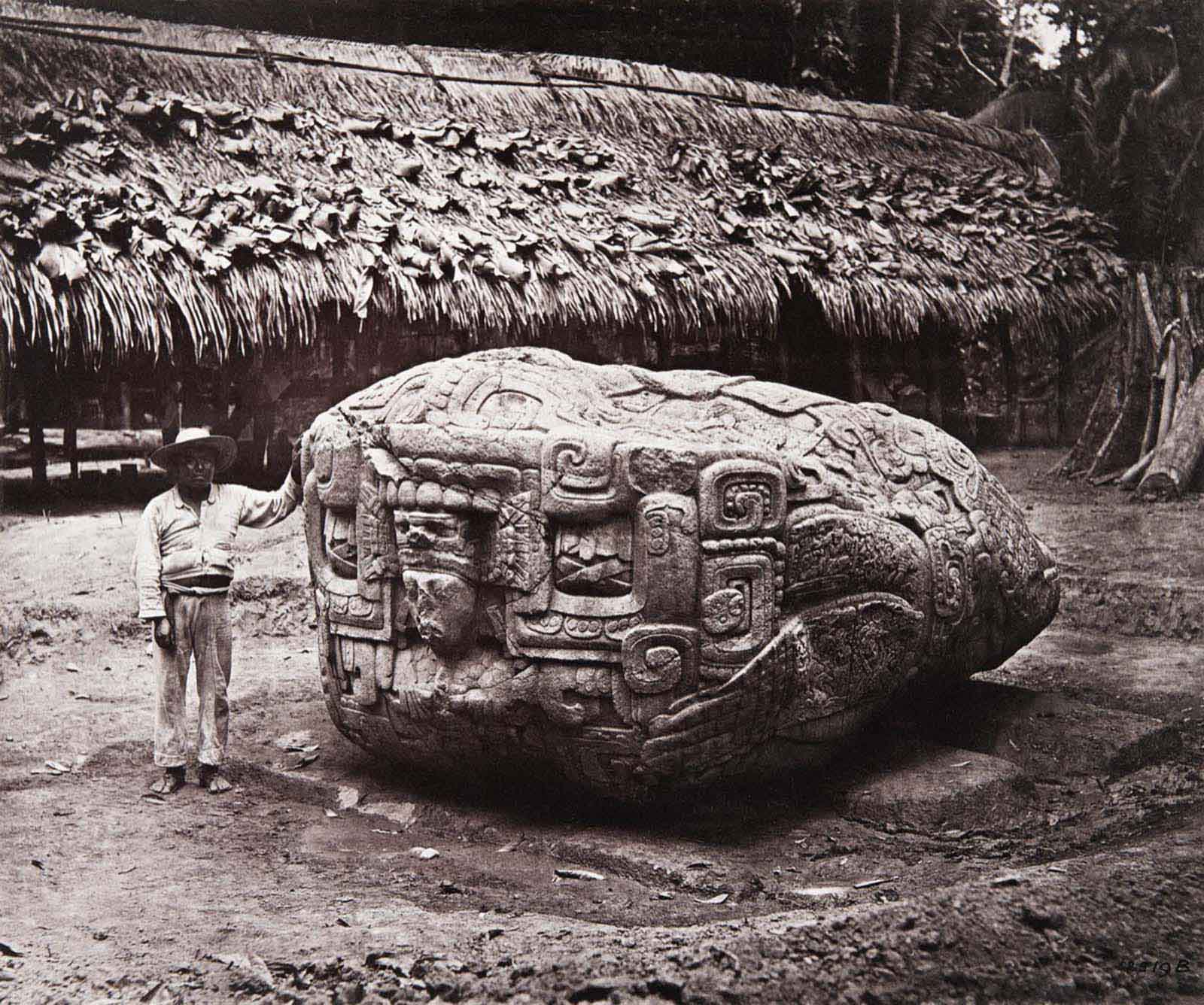 Zoomorph B (also known as Monument 2), south face, date 780 AD. Discovered by Alfred Maudslay.