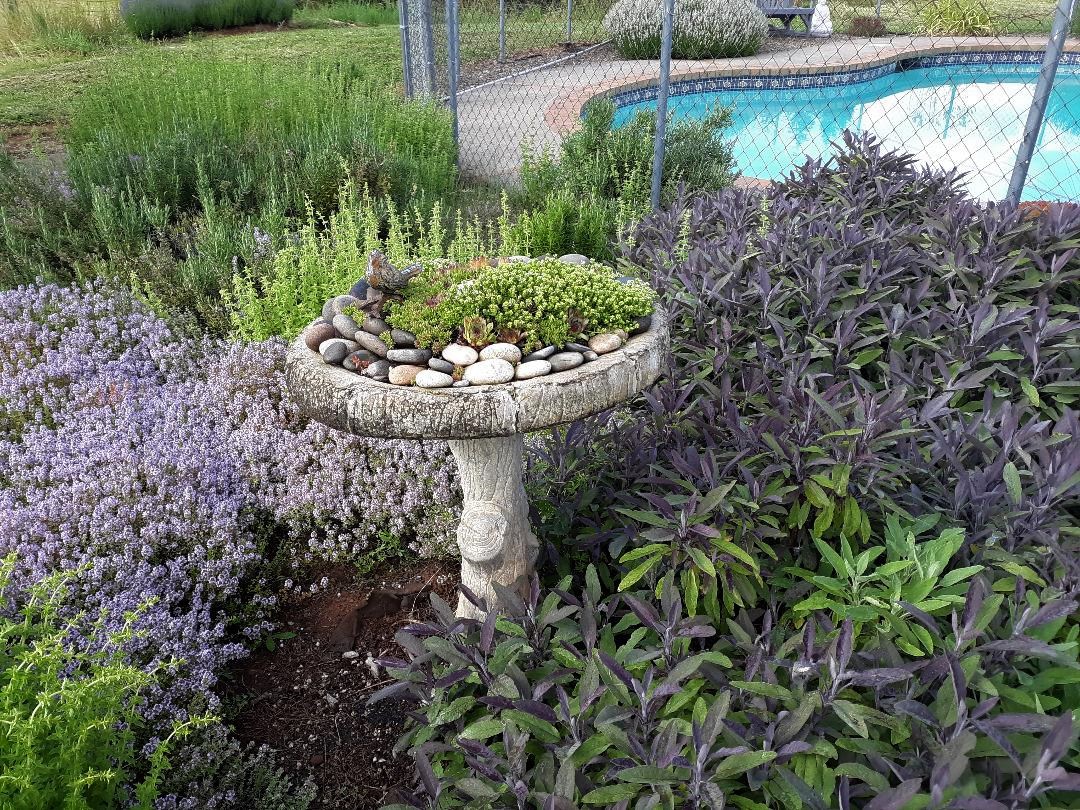 High Prairie Farmgirl Upcycled 40 Year Old Leaking Concrete Birdbath