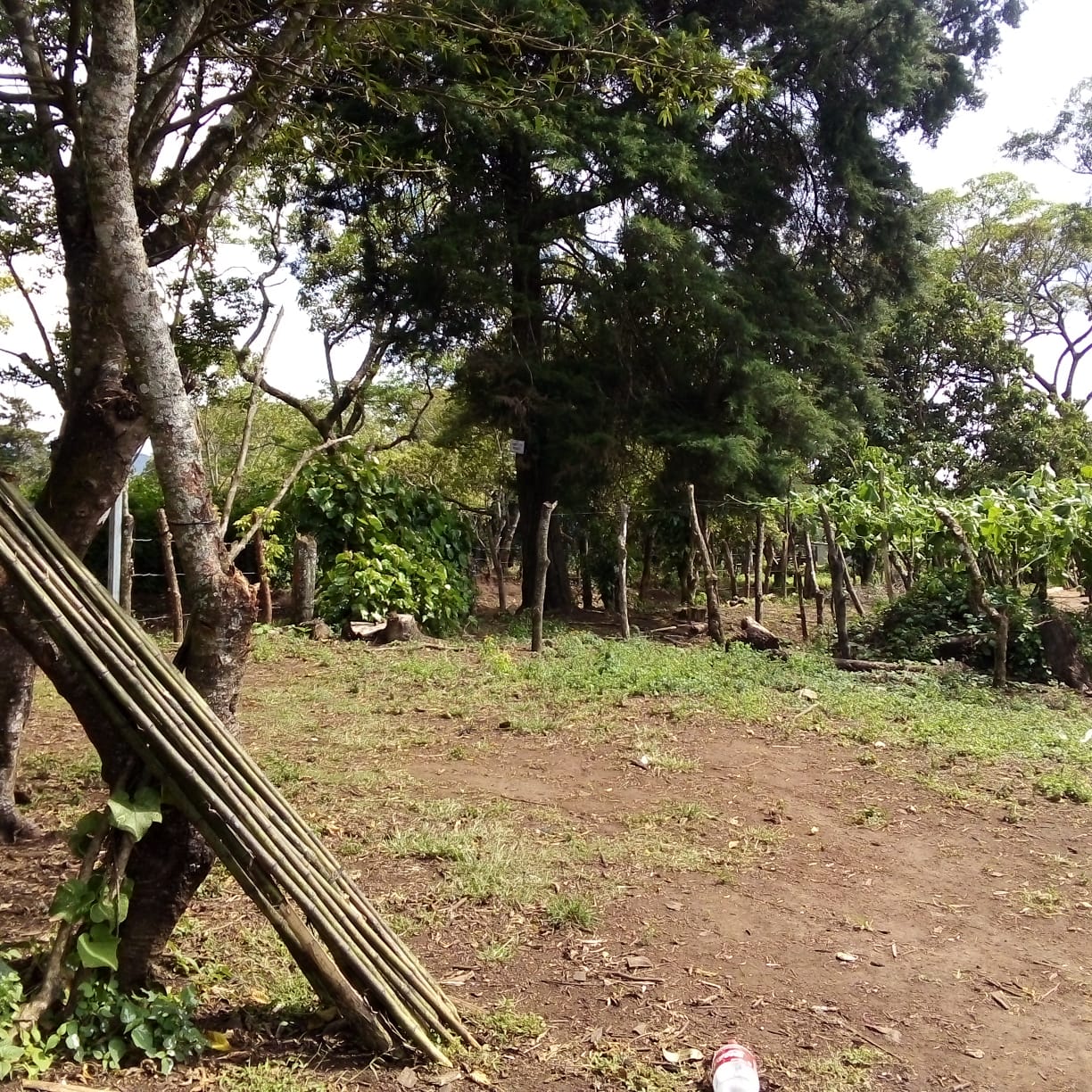 Terrenos en Venta Carretera a El Salvador