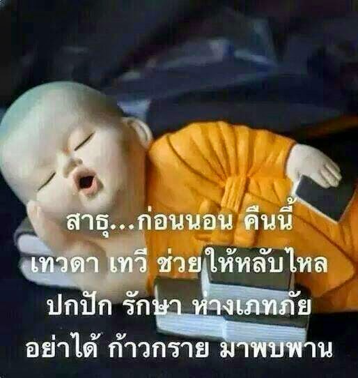 My Image 20