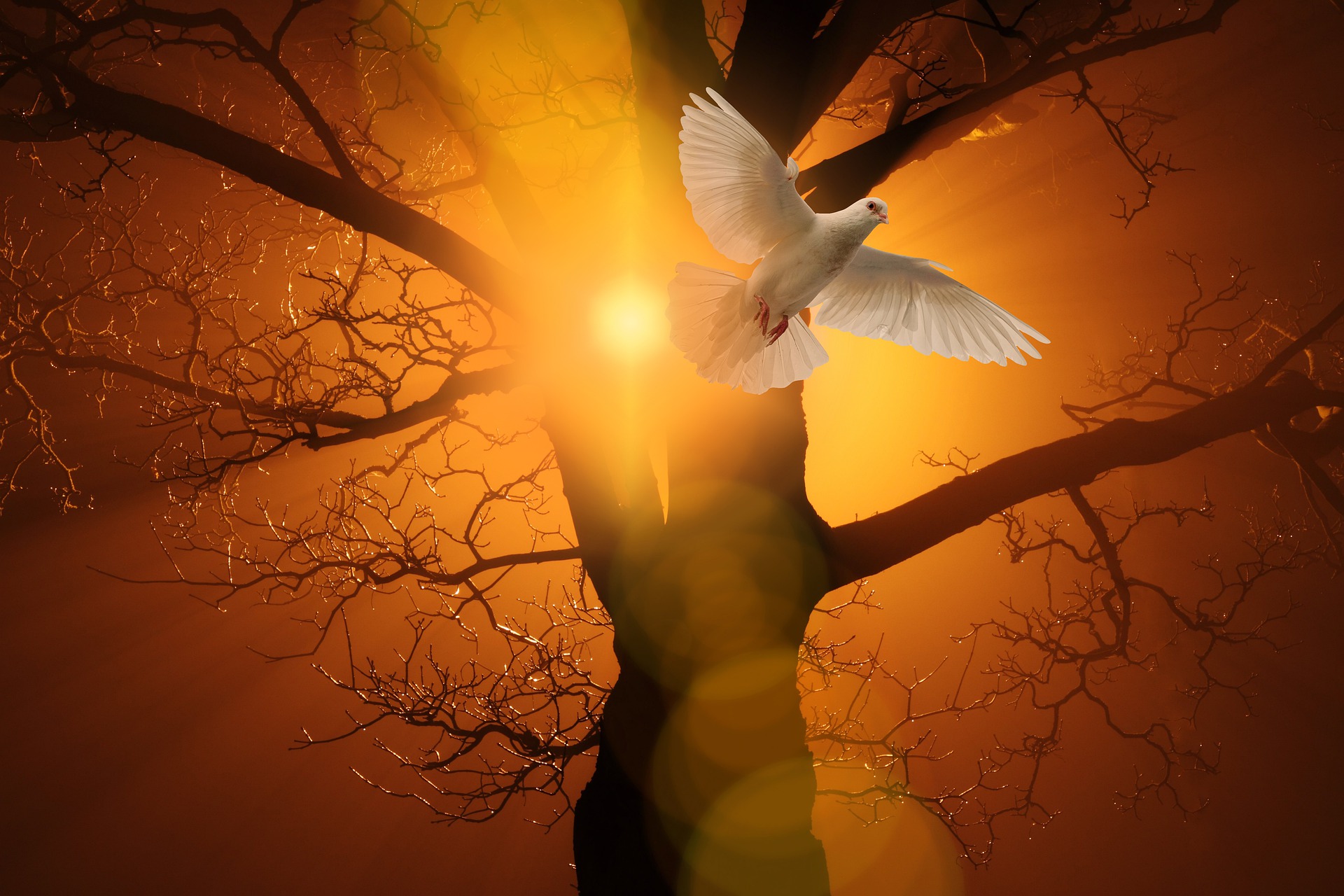 ALL THE TIME GOD IS GOOD! What are the Laws written on our hearts The Law of the Spirit of